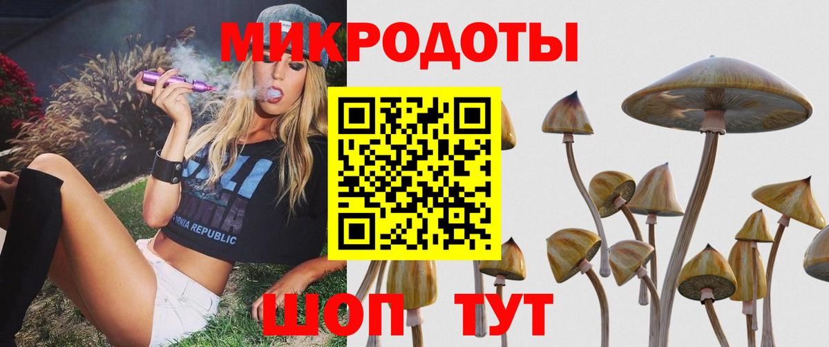 Ирбит  Галлюциногенные грибы Cubensis  Вход с VPN 